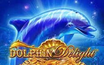 Dolphin Delight